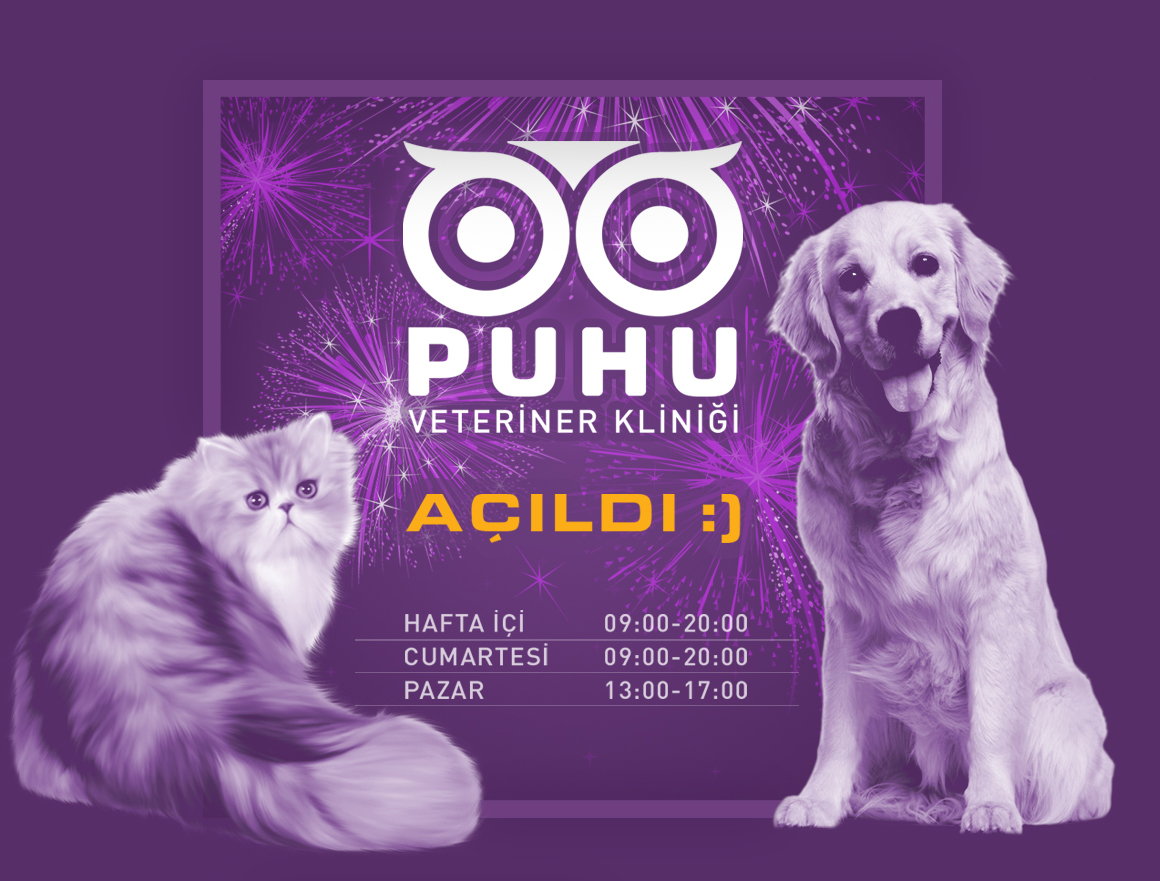 Puhu Veteriner Kliniği