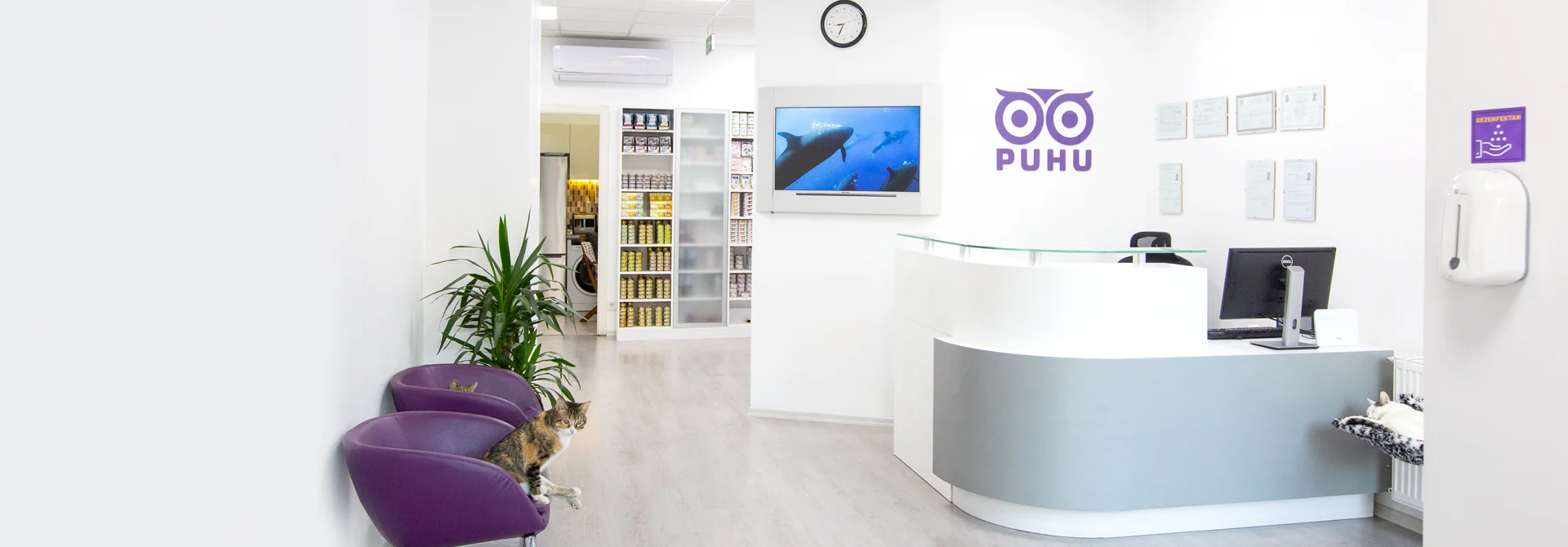 Puhu Veteriner Kliniği karşılama alanı ve bekleme bölümü