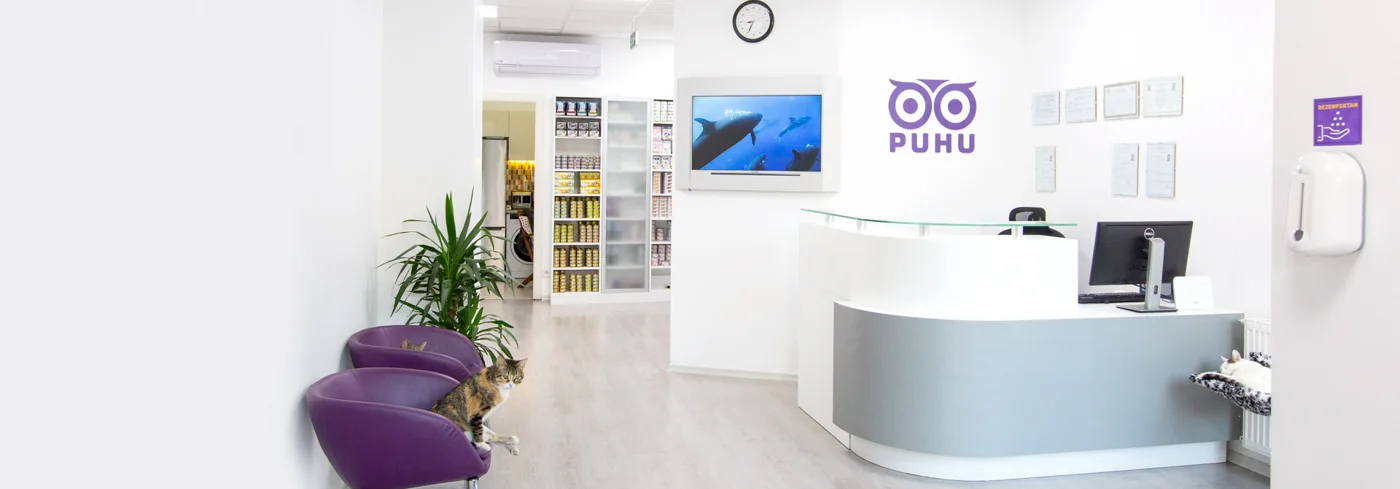Puhu Veteriner Kliniği karşılama alanı
