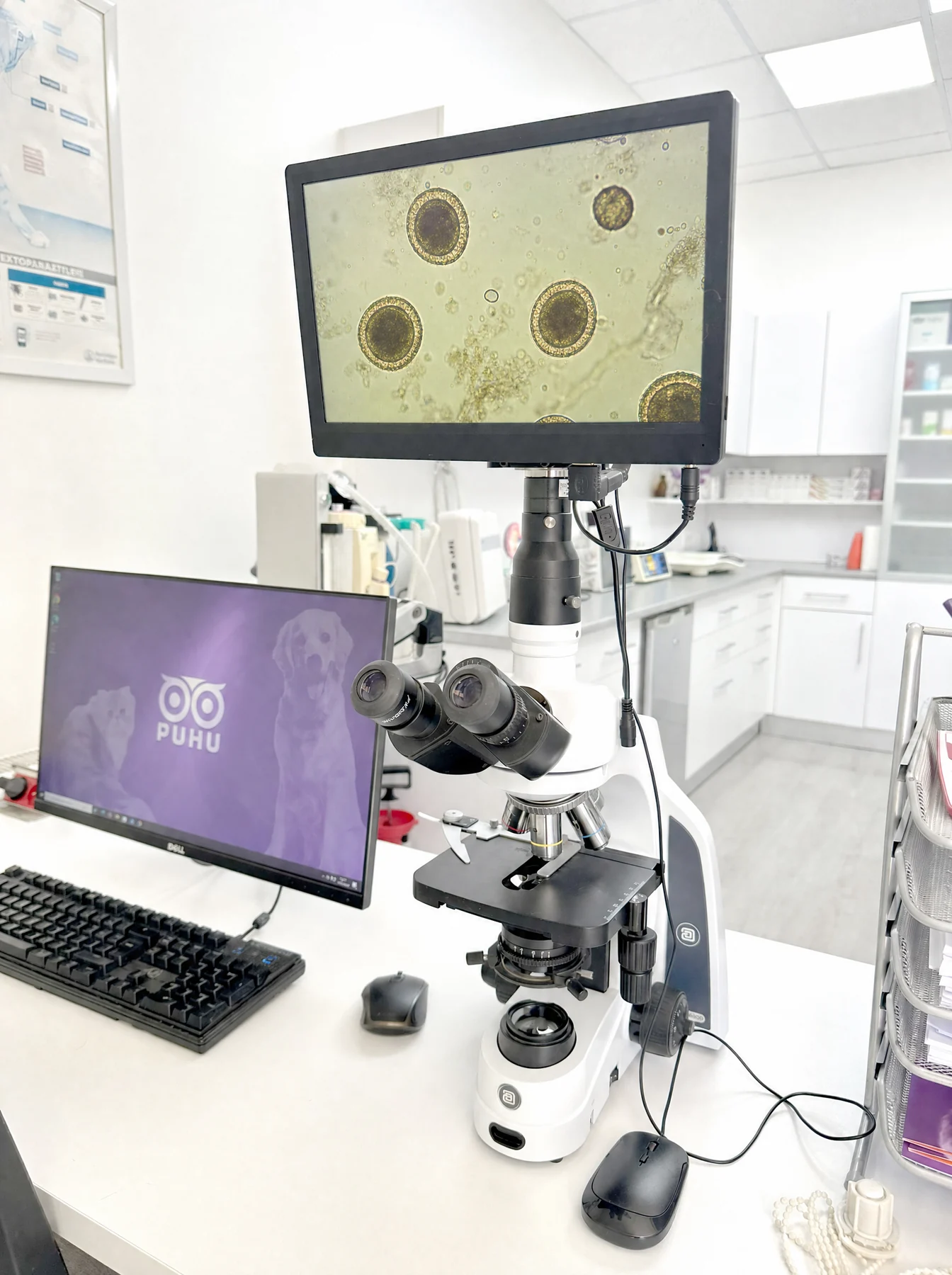 Puhu laboratuvarında mikroskobik görüntülerin ekrana aktarıldığı inceleme sistemi